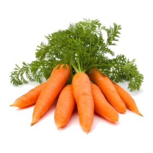 Fresh Carrots