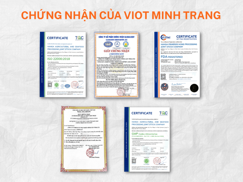 Vietnam Fresh and Frozen Lychee Supply for International Markets